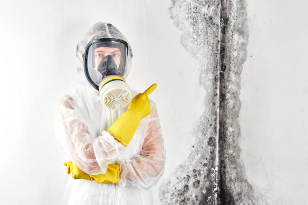 Biohazard Mold Removal in Norwood Young America, MN